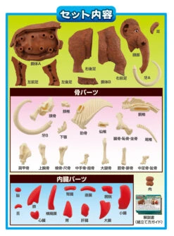 MegaHouse Kaitai Mammoth Puzzle -Model Figures MH51633 12
