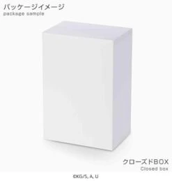 Sega Demon Slayer PM Perching Tanjiro Kamado Prize Figure -Model Figures SG94482R 6