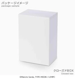 Sega The Case Files Of Lord El-Melloi II Rail Zeppelin Grace Note SPM Figure Prize Figure -Model Figures SG94811 6