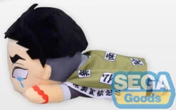 Sega Demon Slayer Nesoberi (Lay-Down) SP Plush Gyomei Himejima (Tears) -Model Figures SG96611 2 1b575413 19c9 4ac5 affb 08979fb2b86b